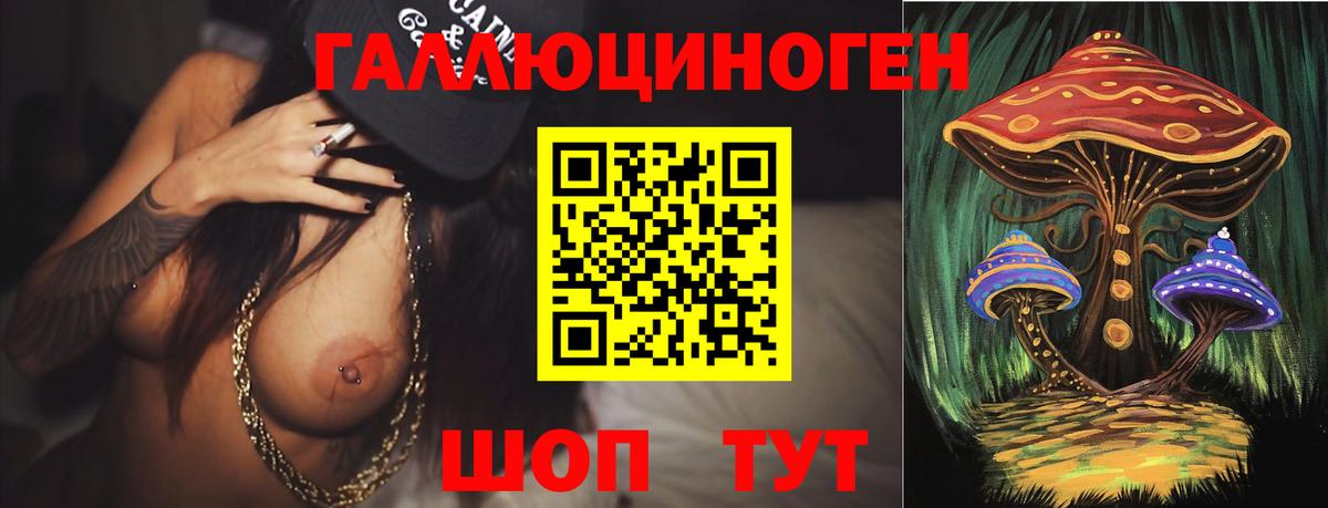 Галлюциногенные грибы Psilocybine cubensis  Вход с VPN  Соль-Илецк 